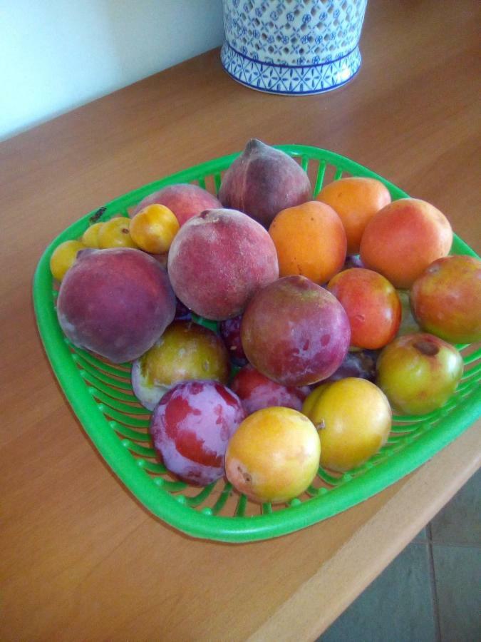 Bed and Breakfast Casa Te La Bradamante Magliano Екстер'єр фото