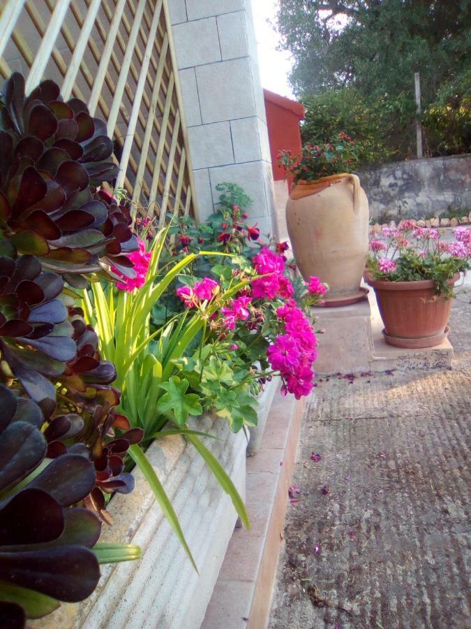 Bed and Breakfast Casa Te La Bradamante Magliano Екстер'єр фото