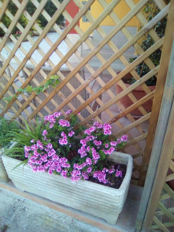 Bed and Breakfast Casa Te La Bradamante Magliano Екстер'єр фото