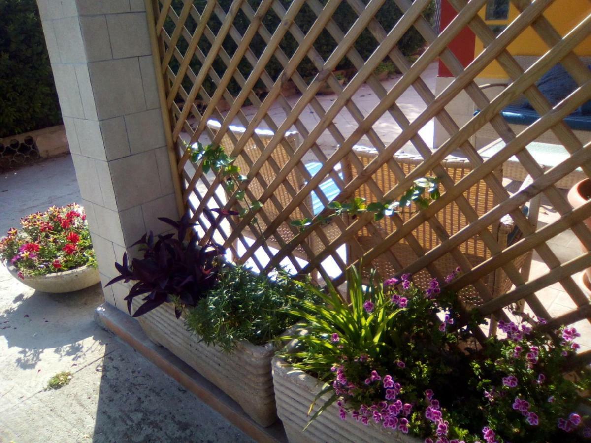 Bed and Breakfast Casa Te La Bradamante Magliano Екстер'єр фото
