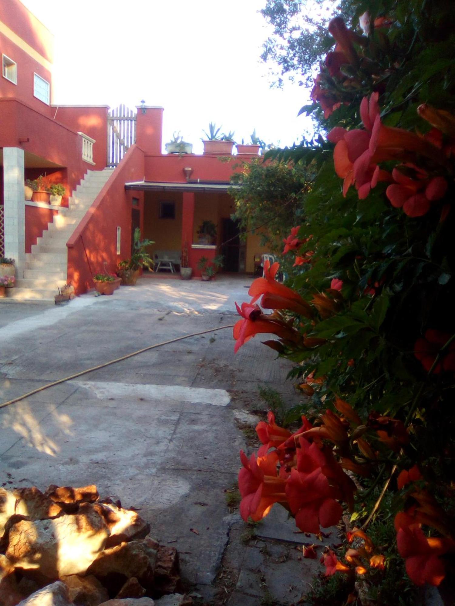 Bed and Breakfast Casa Te La Bradamante Magliano Екстер'єр фото