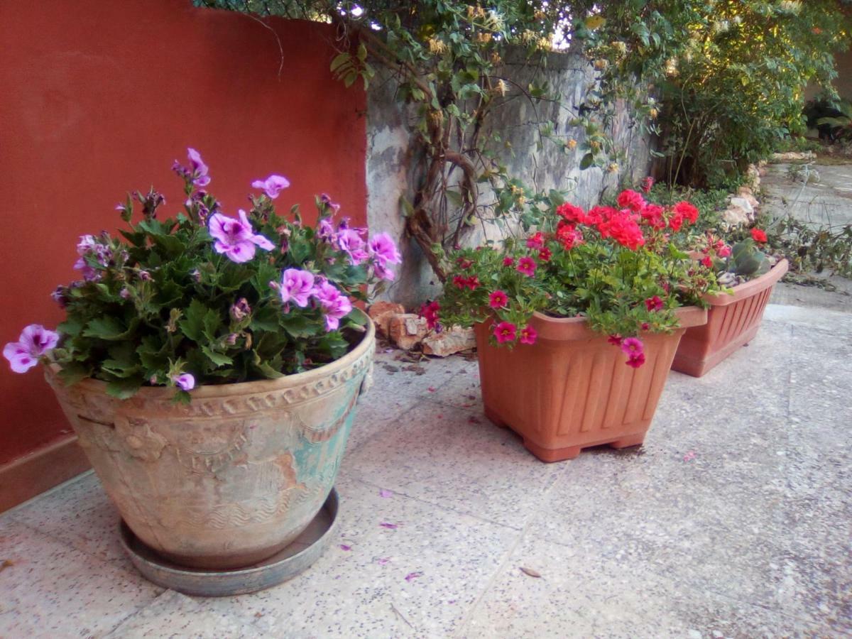 Bed and Breakfast Casa Te La Bradamante Magliano Екстер'єр фото